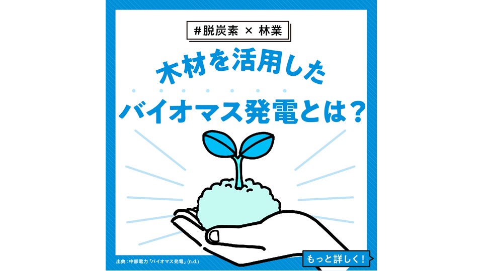 【脱炭素 × 林業】 木材を活用したバイオマス発電とは？